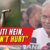 Article image for: Watch how Chhattisgarh CM Bhupesh Baghel handled the situation when a snake appeared during press briefing