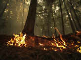 Canada wildfires: Thousands flee homes across British Columbia