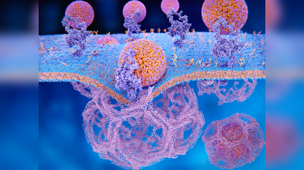 How to bring down bad cholesterol levels