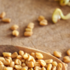 Article image for: <i class="tbold">fenugreek</i>