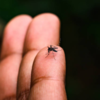 ​What are the complications one should be careful about?​