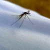 ​He started showing symptoms on July 19 and recovered by August 2​