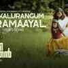 Article image for: Enjoy The New Malayalam Music Video For 'Thinkalurangum Neramaayal' By P S Jayahari