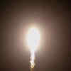 Article image for: NASA's SpaceX Crew-7 Launch