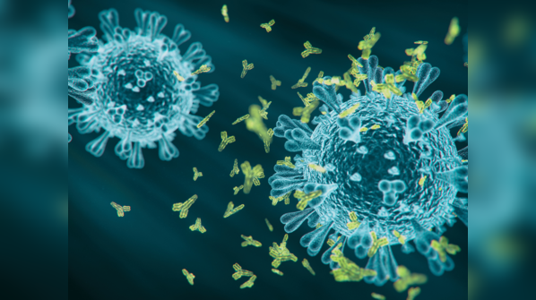 Before difference, let’s know what’s common between both the strains