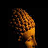 Article image for: See the latest photos of <i class="tbold">gautama buddha</i>