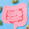 ​What are factors that shape our gut health?