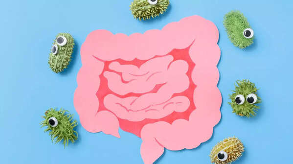 What are factors that shape our gut health?