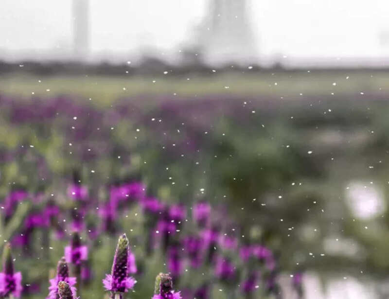 Best places to visit in the month of September in India