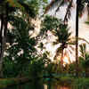 Article image for: See the latest photos of <i class="tbold">wayanad</i>