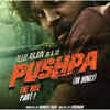 Pushpa: The Rise