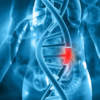 ​First relatives are more at risk​