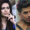 Karishma Tanna and Sushant Digvikar