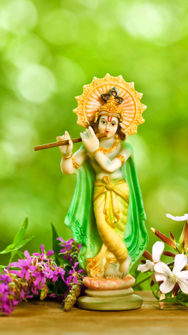 Parthasarathi Images