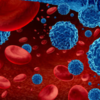 ​Myth: Blood cancer can be prevented​