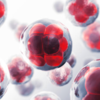 ​Myth: All blood cancers are the same​