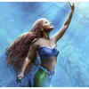 The Little Mermaid