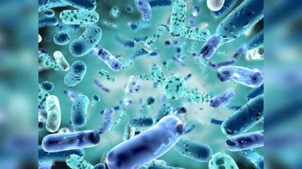 What causes scrub typhus?