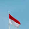 Article image for: <i class="tbold">indonesia</i>