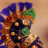 Article image for: New pictures of <i class="tbold">janmashtami</i>