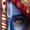 Article image for: <i class="tbold">auspicious day</i>