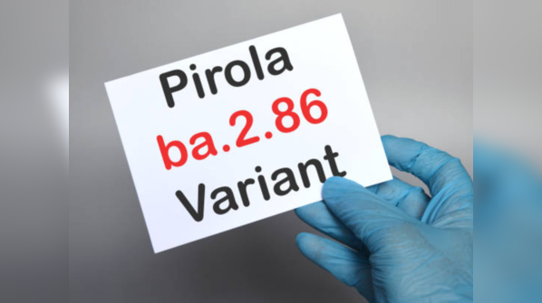 Human immune system and Pirola