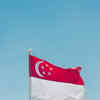 Article image for: <i class="tbold">singapore</i>