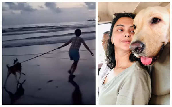 Solanki Roy Photos