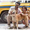 The unconditional love