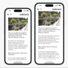 iPhone 15, iPhone 15 Pro with the Dynamic Island