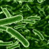 ​Respiratory symptoms vary​