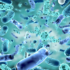 ​Nature of infection​