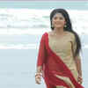 ​Beach diaries