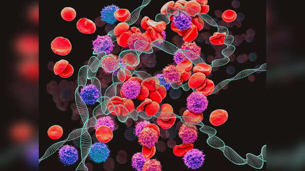 Newly discovered genes