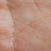 The sun line