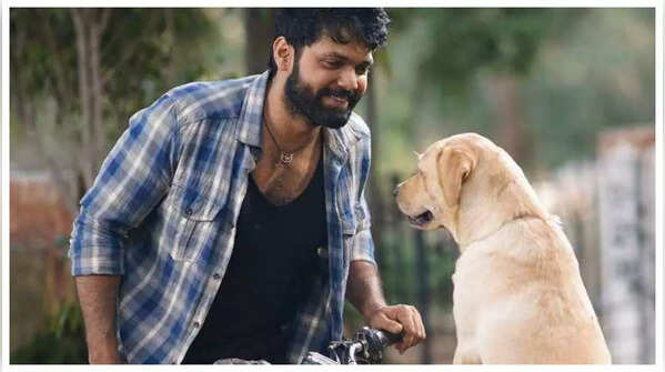 Rakshit Shetty for '777 Charlie'