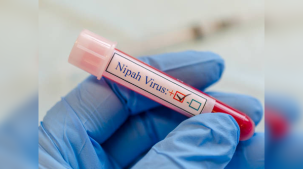 How Nipah spreads from human to human