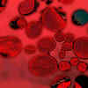 ​High blood sugar can damage blood vessels 