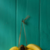 Article image for: Add <i class="tbold">almond butter</i> with banana