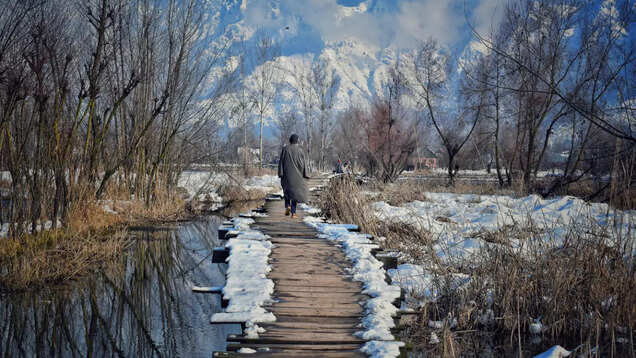 Have you thought about Backyard Tourism yet?