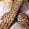 Elephant Motif