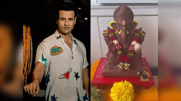 Rohit Bose Roy