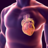 ​More about this latest research​