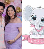 Rahul Vaidya and Disha Parmar's beautiful journey from love story to parenthood; couple blessed with baby girl