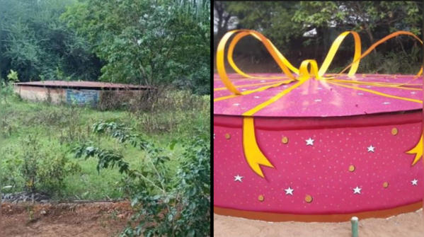 Resurrected beauty: TN's abandoned wells transformed into whimsical works of art