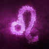 ​Leo