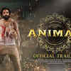 ​Animal