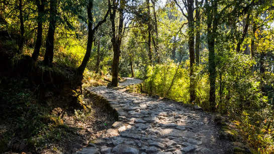 Perfect destinations in and around Nainital for adventure lovers     