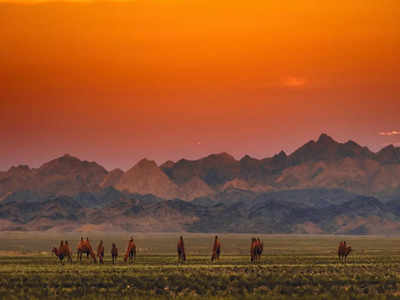 Wondering why visit Mongolia? Here are top reasons to inspire you | Times  of India Travel