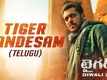 Tiger 3 - Official Telugu Teaser